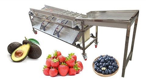 Automatic Custom Size Red Date Jujube Strawberry Size Sorting Grade Machine