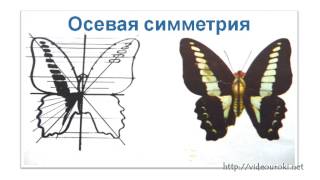 Рисование по представлению «Бабочка» Рисование по представлению «Бабочка»