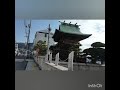 尾道市 河津桜