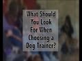 What to Look for When Selecting a Dog Trainer What to Look for When Selecting a Dog Trainer