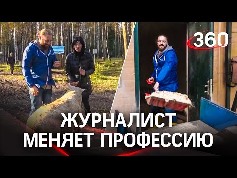 Овца влюбилась в корреспондента 360. Приехал в коровник на ферму, но ему не дали снять репортаж