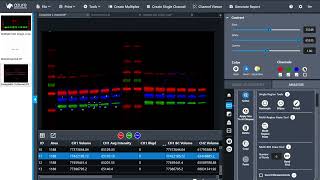 AzureSpot Q Multiplex Intensity Analysis