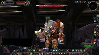 Who is Rot Hide Bruiser - WoW Classic WOTLK rare spawns