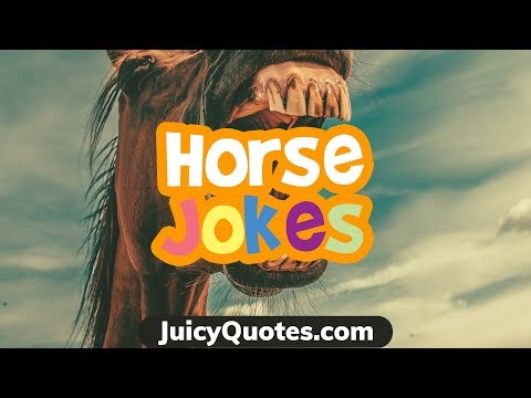 funny-horse-jokes-and-puns---nice-clear-jokes-about-horses-for-kids-too