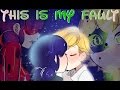 Comic dub this is my fault miraculous ladybug