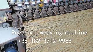 bamboo reed mat weaving machine wicker reed curtain knitting making machine by YANGZHOU NUODI MACHINERY CO.,LTD 626 views 1 year ago 12 seconds