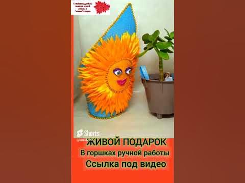 авито:комнатные цветы от Олеси Ставрополь - YouTube