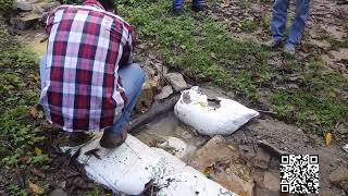 Finca brasil del Municipio de Belisario Dominguez, Chiapas