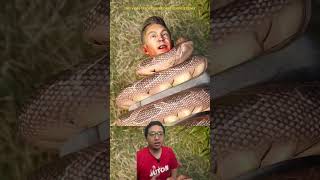 CARA ULAR MELILIT TUBUH MANGSANYA 😱 #snake #animals #python #didyouknow #animasi