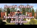 Мой ЛУЧШИЙ спиннинг для Воблеров!!! Выбираем спиннинг для твичинга Лучших Крупных Воблеров !!!