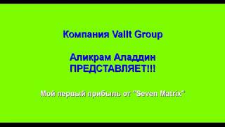 Как быстро превратить 0,0015 BTC на 0,0020 BTC!!!  VALLT GROUP - SEVEN MATRIX