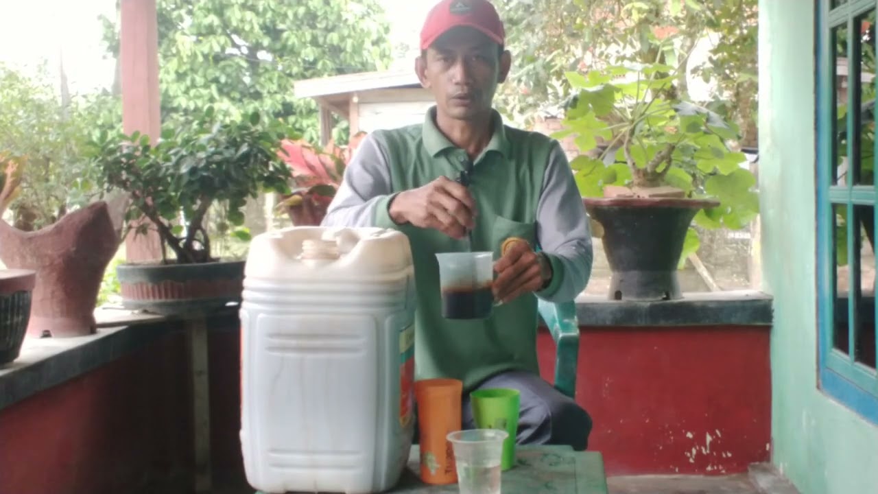 TUTORIAL CARA MELAKUKAN PERMENTASI URINE SAPI