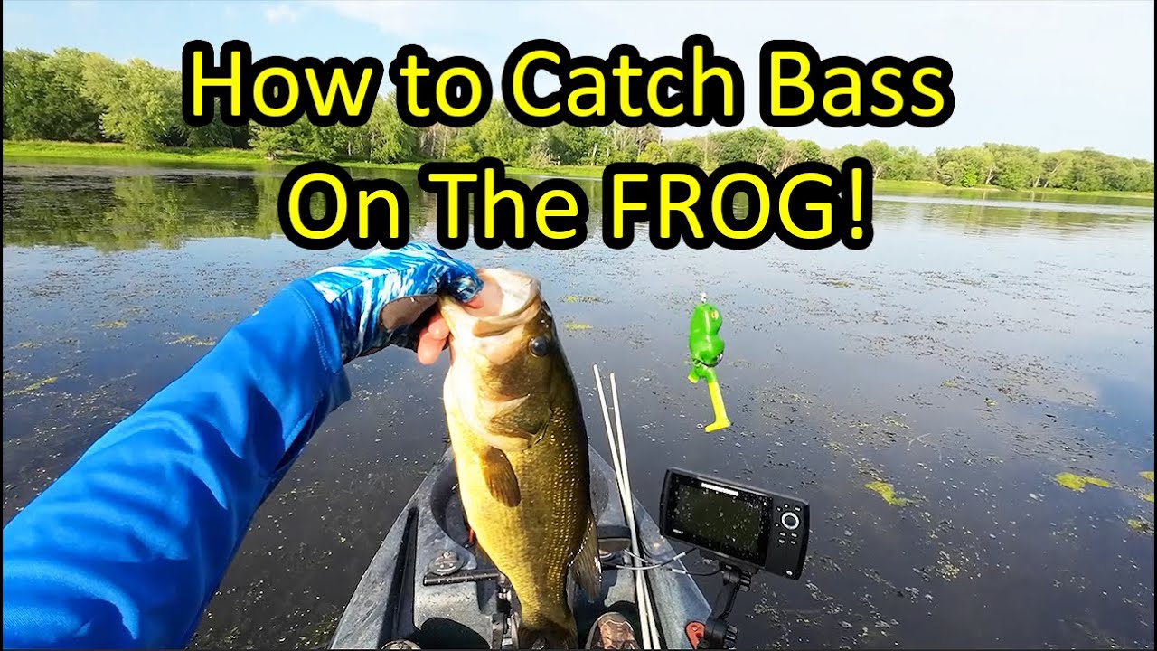 Learn How to Fish a Frog Lure for Bass (Frog Fishing Tips for Beginners) 