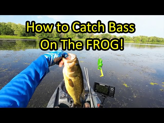 Learn How to Fish a Frog Lure for Bass (Frog Fishing Tips for