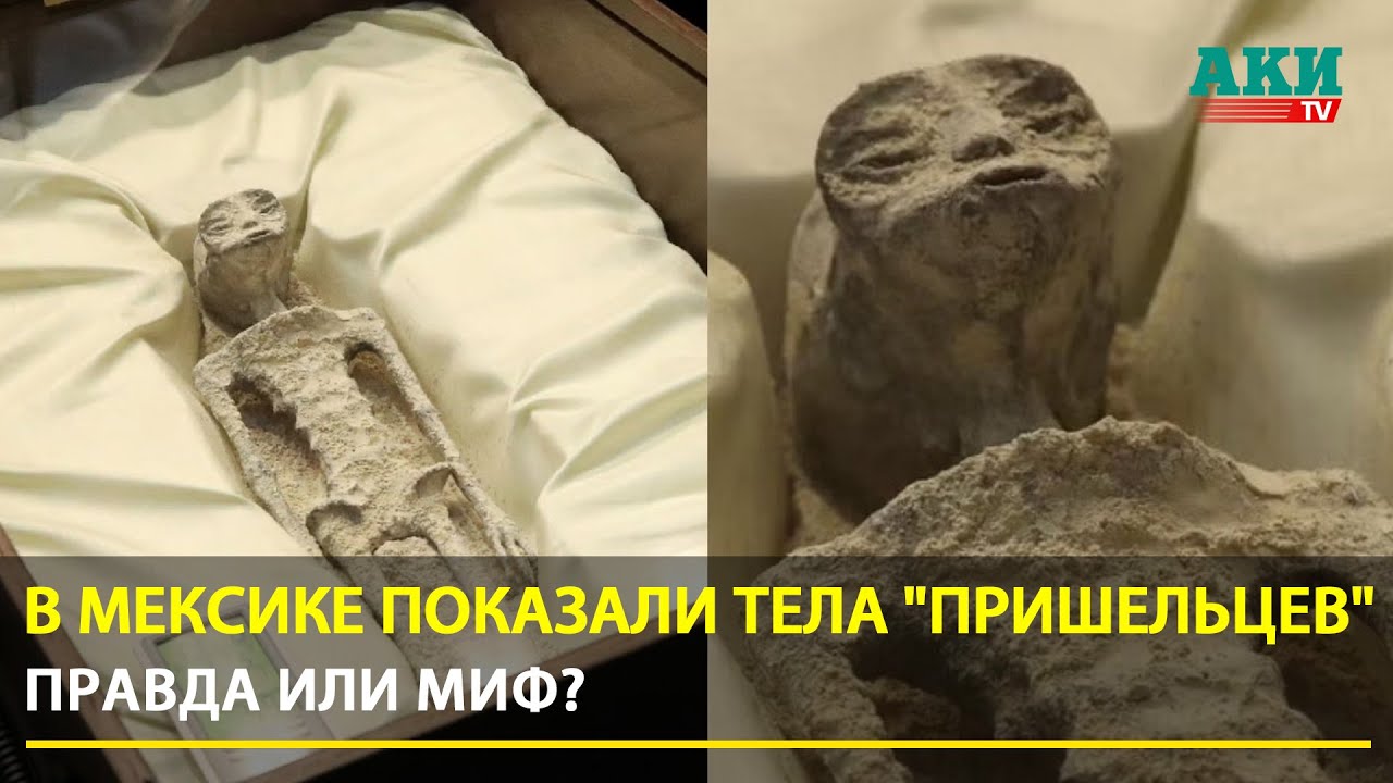 мы хотим найти работу
