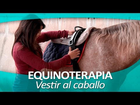 EQUINOTERAPIA 4 |