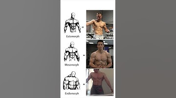 Ectomorph VS Mesomorph VS Endomorph !! 🔥