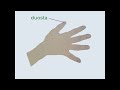 Lernigaj mikrovideoj pri Esperanto. 12a: La mano
