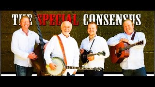 SHOULD'VE TOOK A TRAIN by SPECIAL CONSENSUS @ NILES BLUEGRASS 2012
