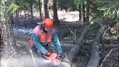 Referencing jammed tree chainsaw Husqvarna 357 XP
