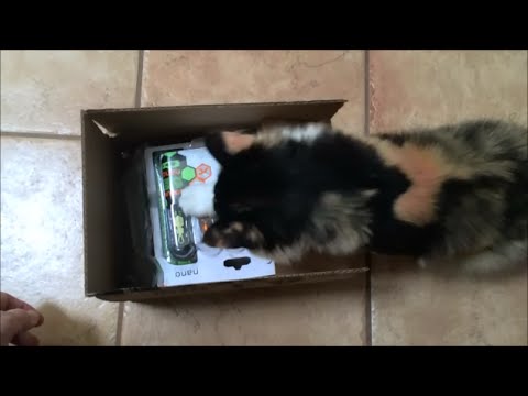Kichi's Unboxing & Review: HEXBUG Nano