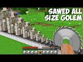 What if YOU SAWED GOLEMS OF ALL SIZES in Minecraft ? SUPER TRAP FOR ALL GOLEMS !