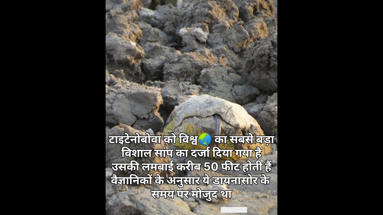 titanoboa-ki-height-kitni-hoti-hai-youtube