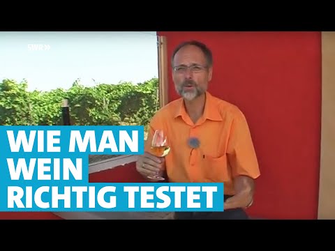 Werner erklärt Wein: Richtig trinken und schmecken