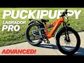 Puckipuppy Labrador Pro Review – Advanced Full Suspension, Full Send!
