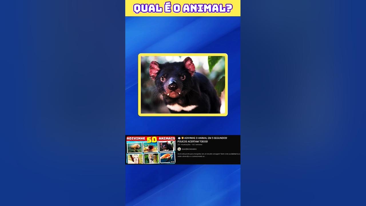 Qual é o nome do animal? Quiz animal #quiz #animal #animais