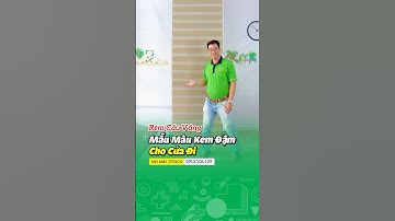 Rèm cửa đẹp, rèm cầu vồng cho cửa sổ nhỏ #shortvideo #youtubeshorts