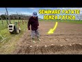 La mia tecnica per seminare le patate senza fatica