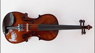 MUSICAL STRING 4/4 Violin Unboxing demo - YouTube