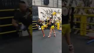 Pads With The Legend. Arjan Pipa Jocky Gym