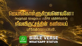 Bible Verse WhatsApp Status :: Tree of Life ( Tamil )