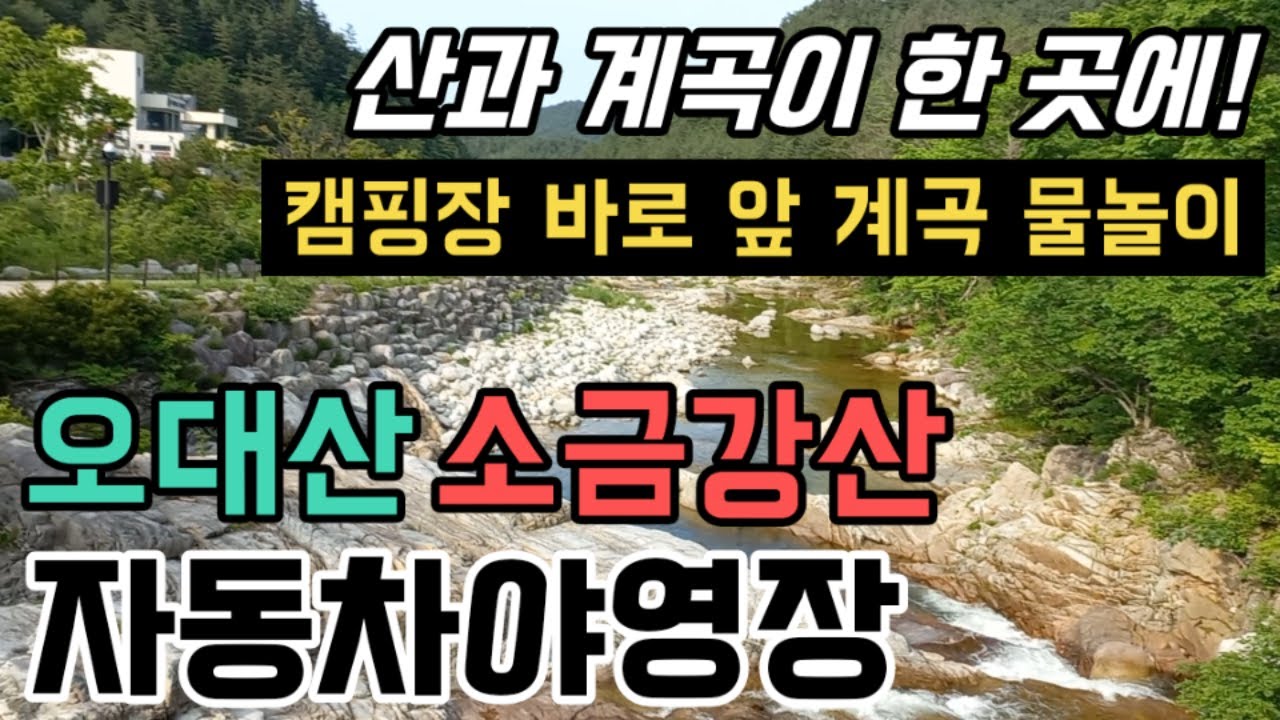 저렴한 여름 휴가지 추천! 산,계곡,물놀이!오대산국립공원 소금강산 자동차야영장ㅣ가성비 강원도 계곡캠핑장 강력추천ㅣ명당 사이트, 숙소, 피서지는 여기! 계곡트레킹 국내여행