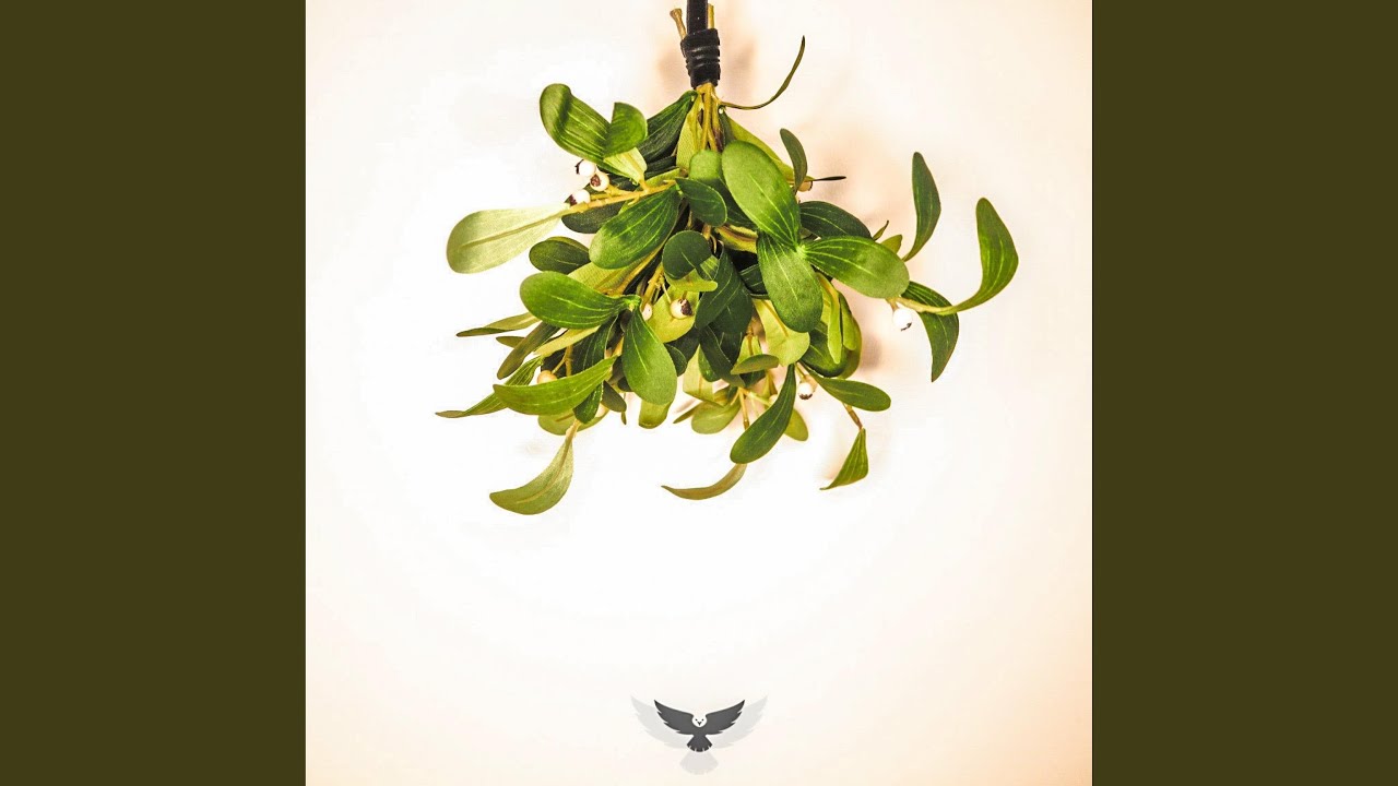 Watch Mistletoe on YouTube Watch Mistletoe on YouTube
