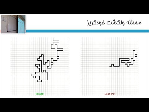 تصویری: پایتون مشبک: عکس، اندازه