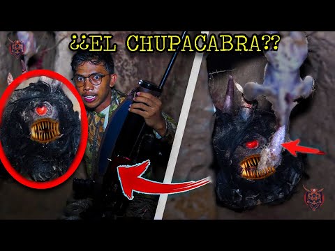 Vídeo: Què és La Criatura?