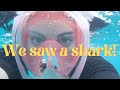 SNORKELLING VLOG | Smith&#39;s Reef Turks and Caicos