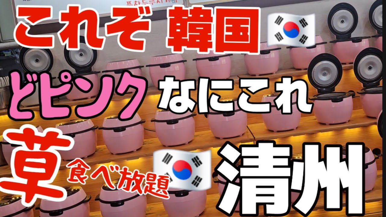 謎の地方都市!!🇰🇷清州(ﾁｮﾝｼﾞｭ)に来たら 現地人おすすめグルメをお食べになって!!【韓国生活】