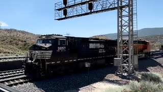 Trains Meet at Silverwood! EB Domestic Z Train vs WB Port Stack Train! NS Dash 9 Lead! Horn Salute!