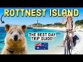 Rottnest Island Day Trip Guide! Western Australia Travel & Quokkas!