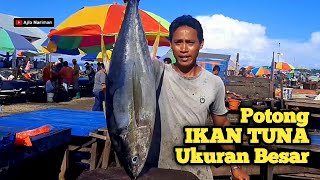 Potong Ikan Tuna Ukuran Besar Untuk Pesta Papeda