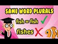 Understanding Plurals with the Same Word