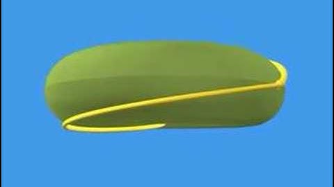 The fundamental Group of the Torus is abelian