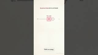 Video 1 | Quantum Gates | How Quantum Gates Flip Qubit States