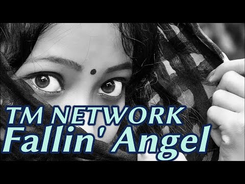 Fallin' Angel / TM NETWORK【カバー・歌ってみた】by unity1701d