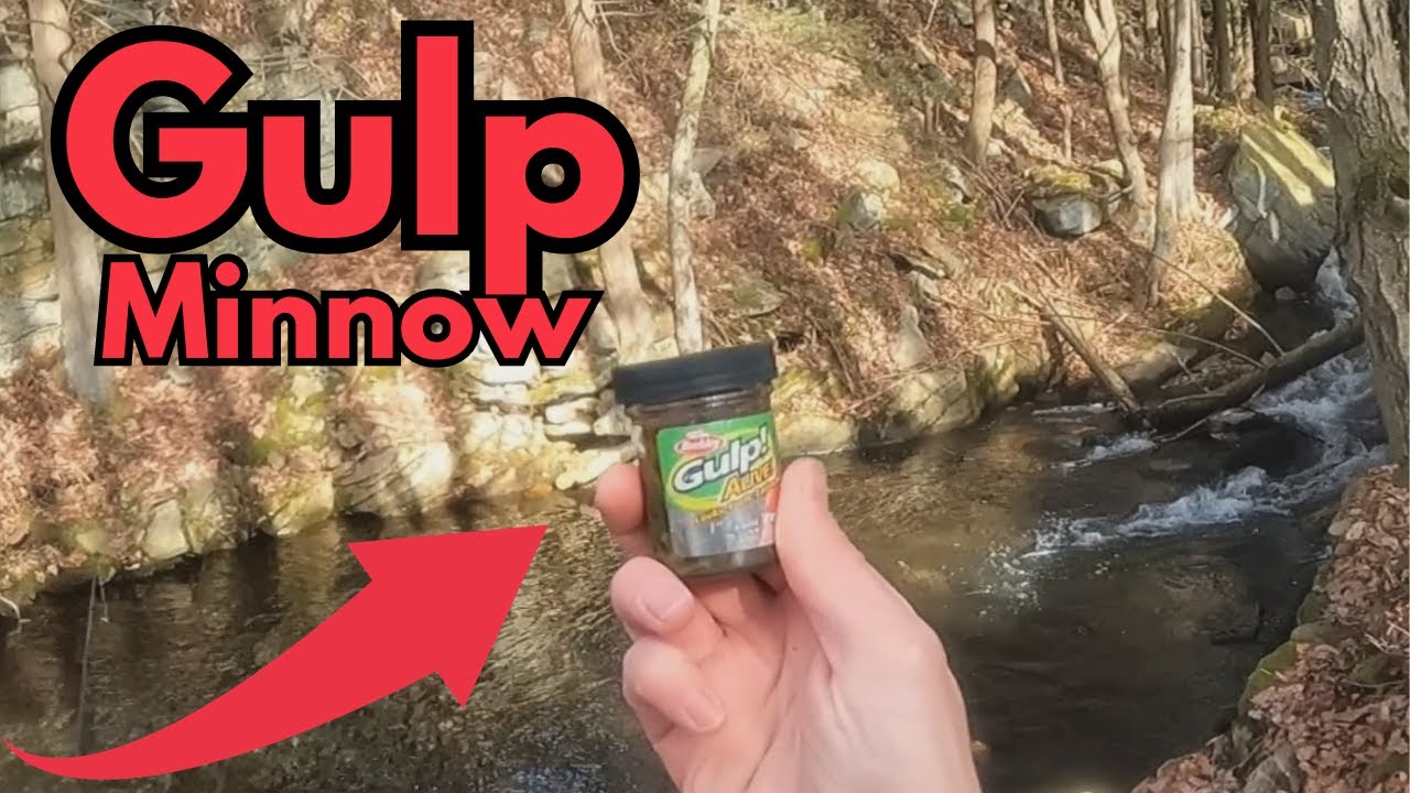 How To Fish The Gulp Minnow For Trout YouTube