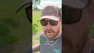 Barren Dirt to Green Grass: Rye Seed MAGIC in 4 Months! #shorts